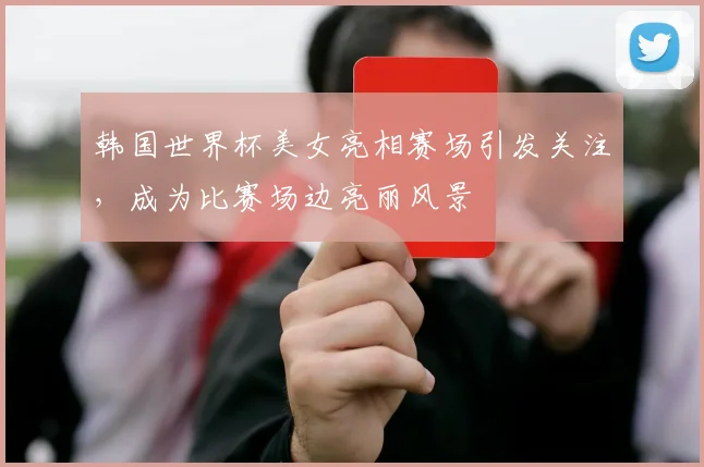 韩国世界杯美女亮相赛场引发关注,成为比赛场边亮丽风景