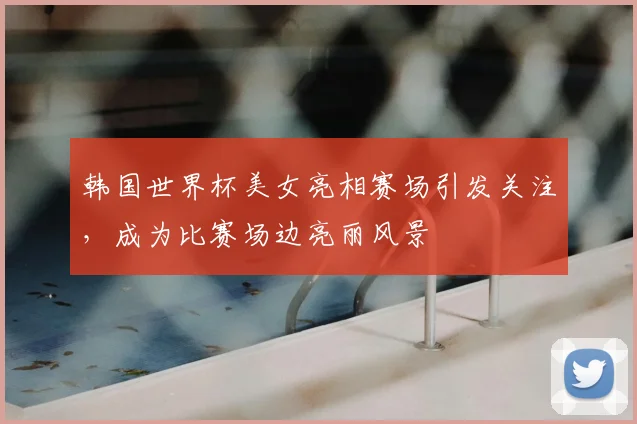韩国世界杯美女亮相赛场引发关注，成为比赛场边亮丽风景